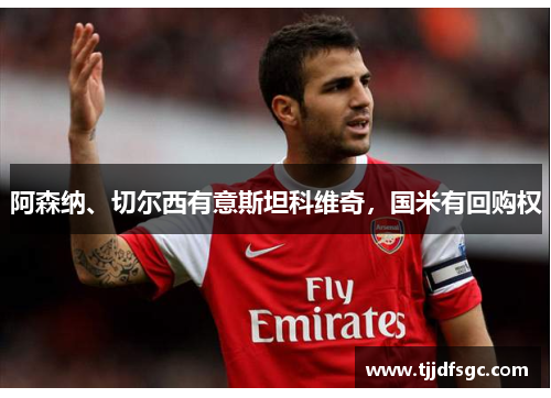 阿森纳、切尔西有意斯坦科维奇，国米有回购权